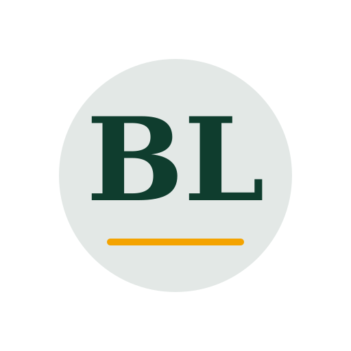 Bright Lake Air Duct Services logo